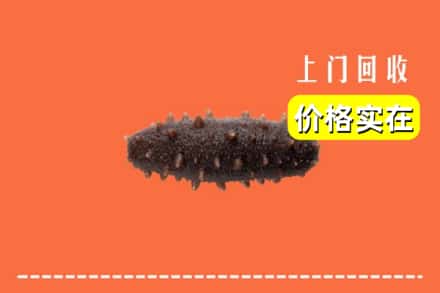 收购资讯:伊犁乌苏市回收海参